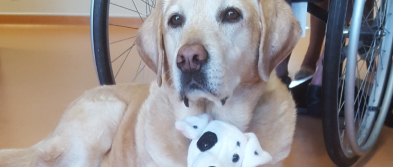 Message de Haloha : Sagesse et ancrage