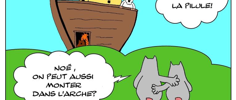 L'arche de Noé , les rats et la pilule