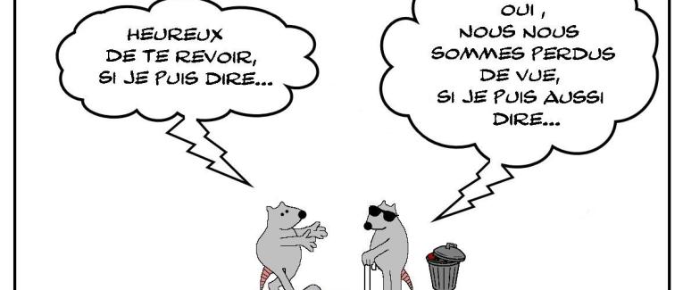 A perte de vue