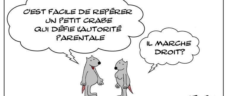 Le rat qui étudiait les crabes