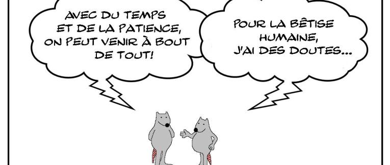 La bêtise et le temps
