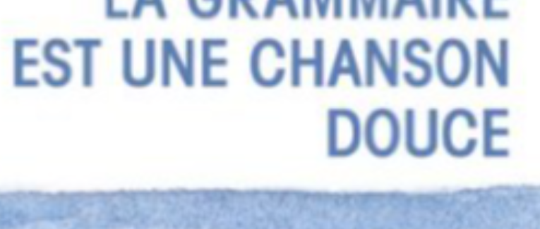 “La grammaire est une chanson douce”, livre d’Erik Orsenna