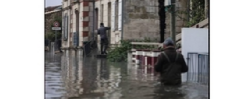 inondations et biodiversité