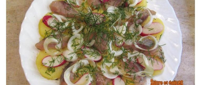 Salade de pommes de terre tièdes aux harengs fumés, radis et aneth