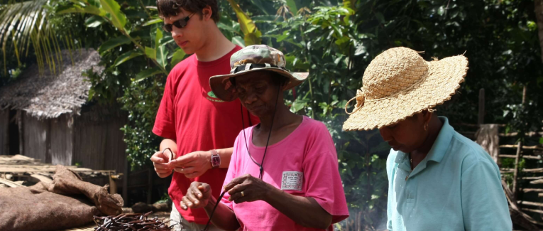 Vanille de Madagascar : un voyage au cœur de ses terroirs de production