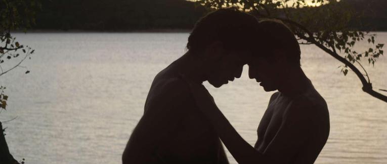 L'Inconnu du lac (Alain Guiraudie, 2013)