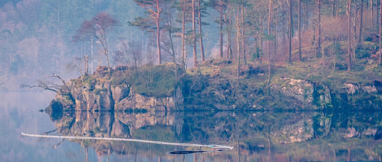 Préambule (Photo by Jonny Gios on Unsplash)