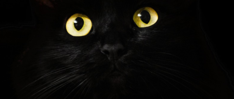 La légende du chat noir ...
