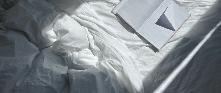 Page du journal d’une monomaniaque