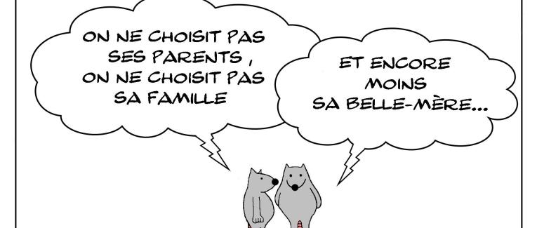 Le non-choix de la belle-mère