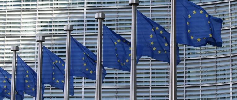 Comment les institutions européennes assassinent-elles les lanceurs d'alerte ? (Première partie)