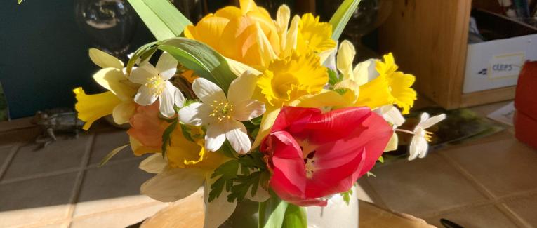 Votre bouquet du Dimanche 27 Mars