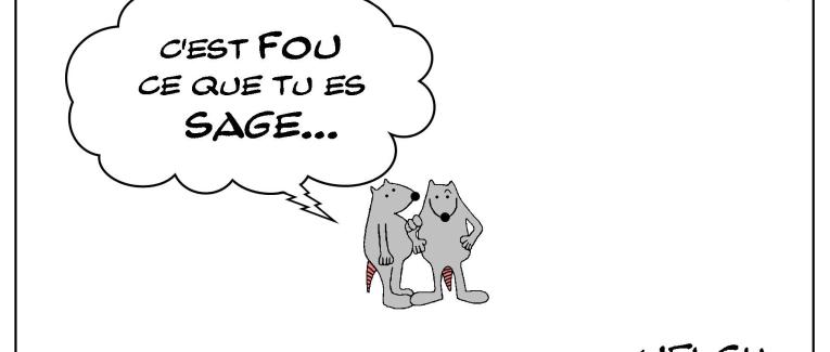 La folie de la sagesse