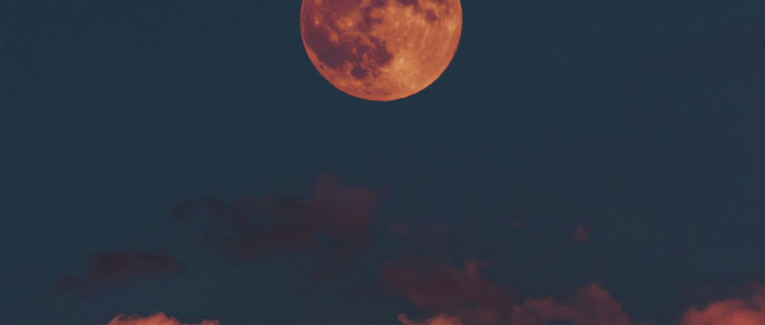 Une journée d'hiver austral