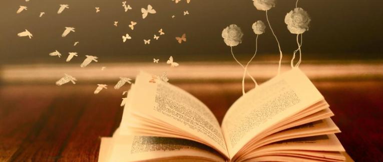 Le Journal de Claire Cassidy (Harbinder Kaur #1) by Elly Griffiths