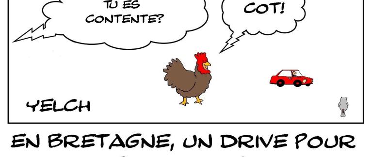 Drive pour adopter des poules