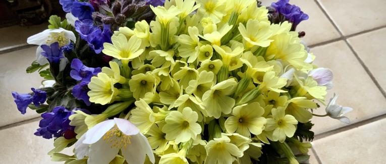 Votre bouquet du Dimanche 13 Mars