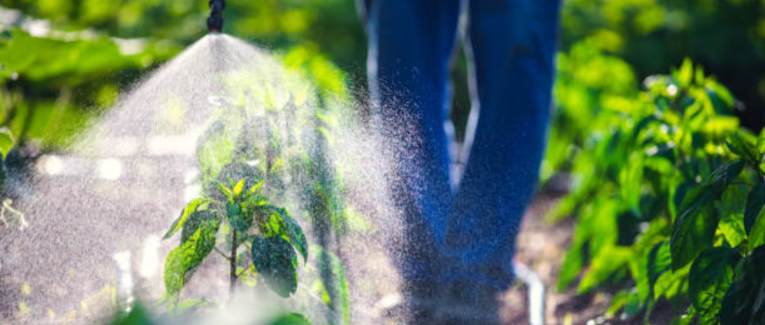 the Gliphosate related to ADHD insurgency
