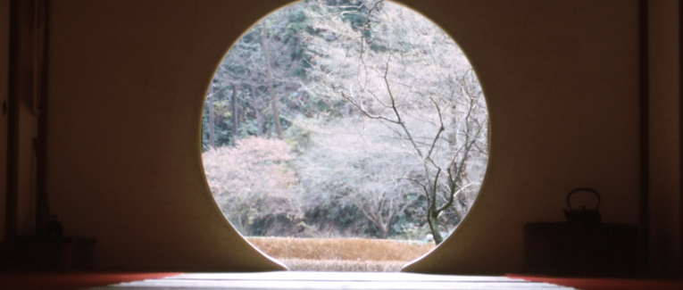 4 - Pourquoi les discussions pointues deviennent rares entre humains ?