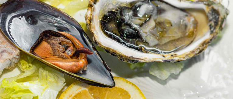 Coquille