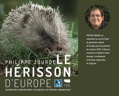 Le hérisson d'Europe