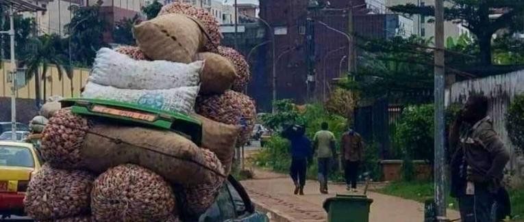 SOUS-DEVELOPPEMENT EN AFRIQUE : LE PARADOXE DE L’ABONDANCE