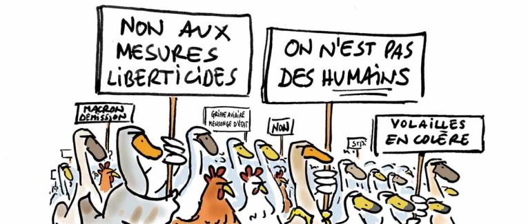 Grippe aviaire le confinement de trop !