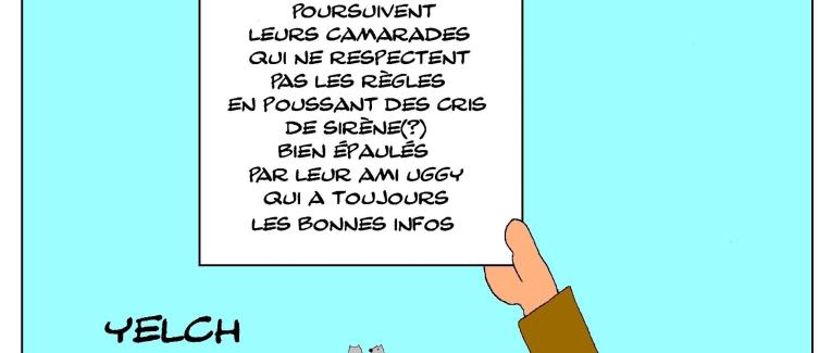 bulletins scolaires de Starsky et Hutch : morale