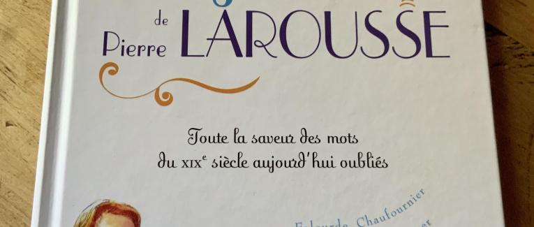Le jeu des mots disparus