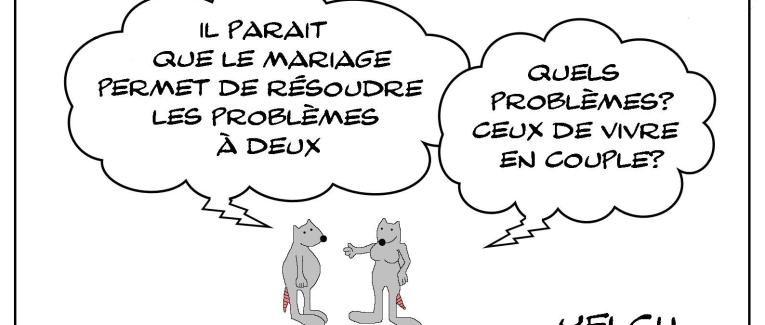 Le couple de rats et les problèmes à deux