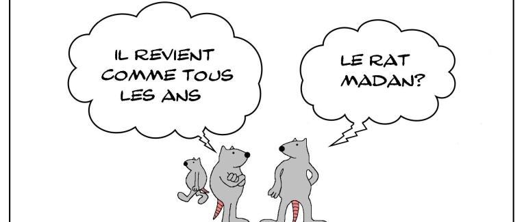Le rat qui s'appelait Madan