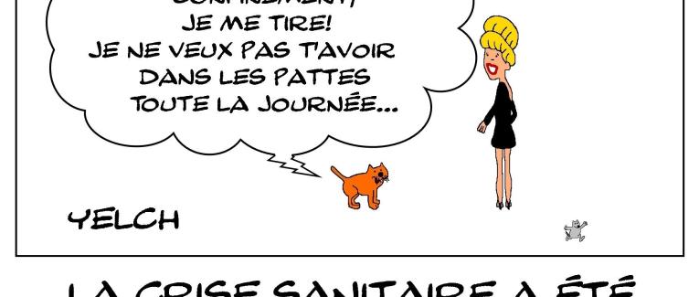 Pas dans mes pattes!