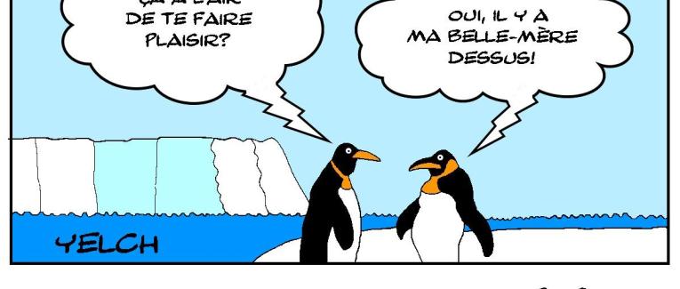 L'iceberg de la belle-mère