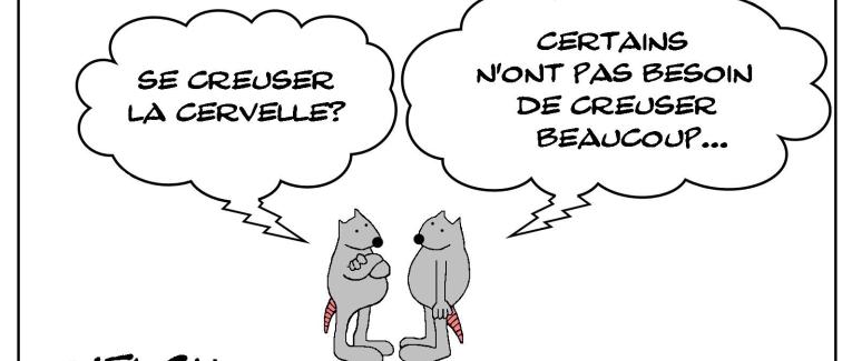 Le rat et la cervelle creuse