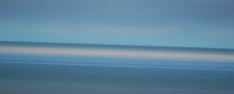 Les fleurs bleues dans le sable mouillé, hommage à Christophe