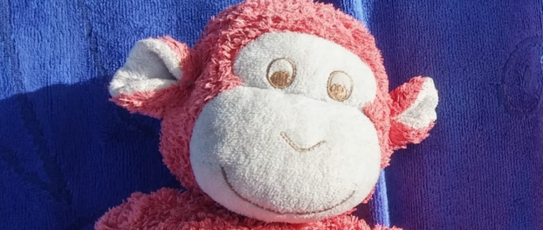 L'Histoire d'Hubert le singe