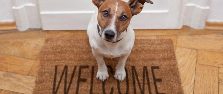 Au commencement, les présentations ... [version 2022]