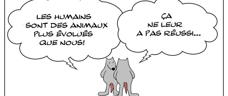 Humains évolués (?)