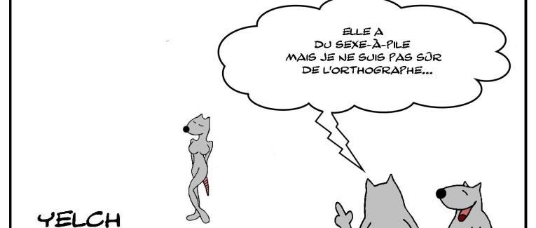 Sexe-à-pile