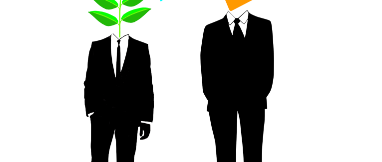 (II, 3) : Mentoring