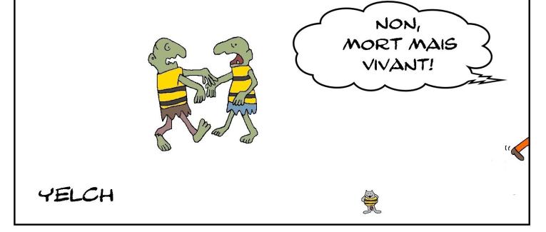 Gilets jaunes morts ou pas ? ou les deux ?
