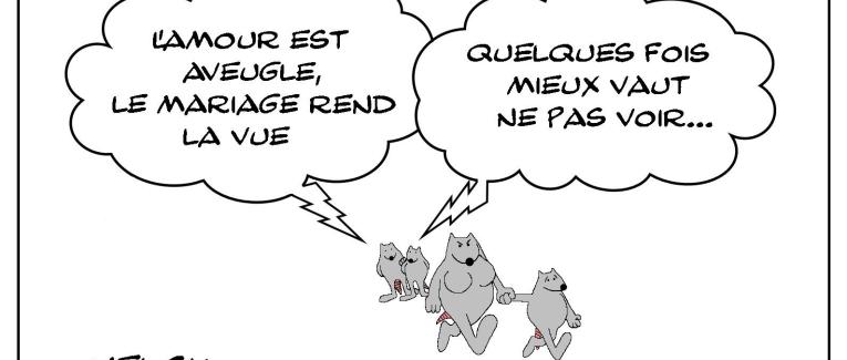 L'amour , le mariage et la vue