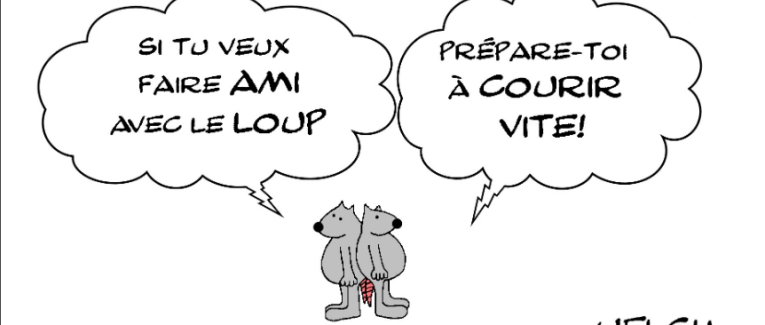 SI TU VEUX FAIRE AMI AVEC LE LOUP