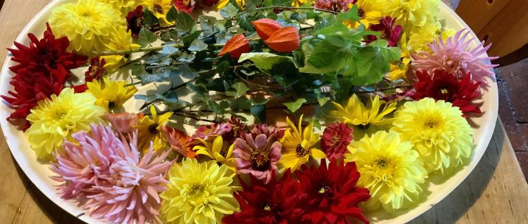 Le jardin de fleurs du 8 Octobre