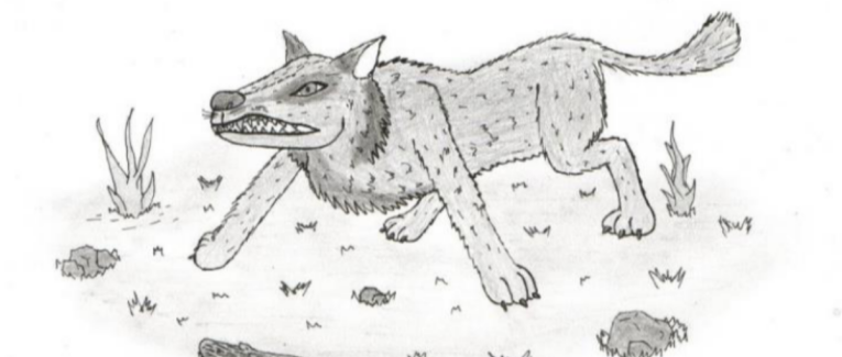 Découvrez les super-canins d'Ethélys !