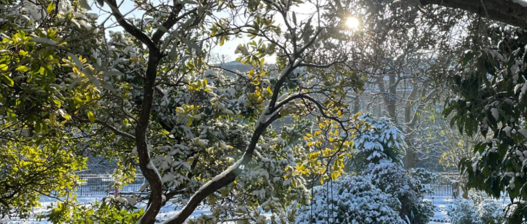 La Montagne du temps suspendu