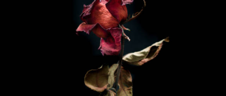 Lettre à ceux qui parlent trop fort