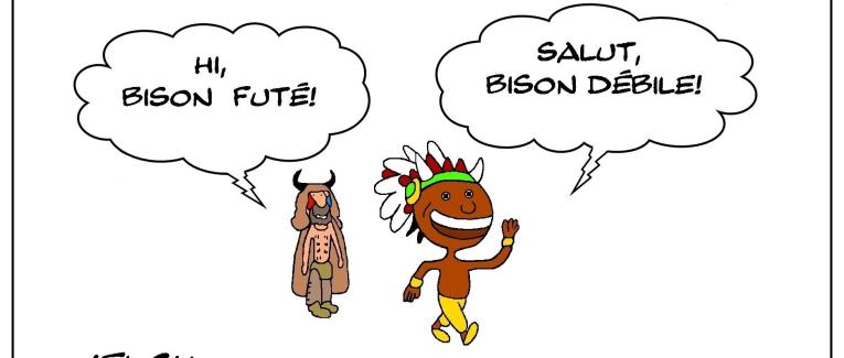 Bison débile