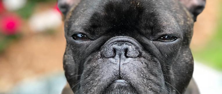 Sans amour... Photo by Samuel Charron on Unsplash
