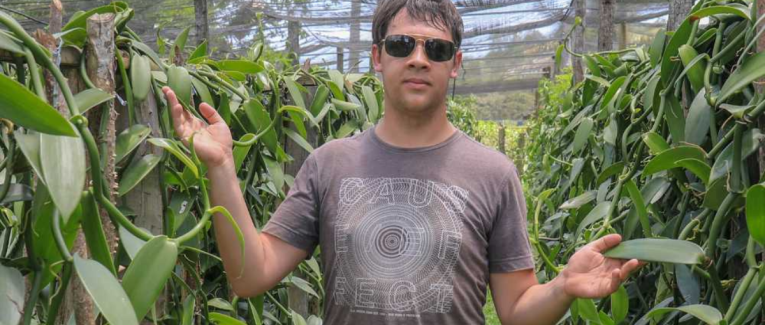 Étude sur les Effets de la Scarification Chimique et de la Concentration d'Azote sur la Germination et le Développement In Vitro de Vanilla planifolia